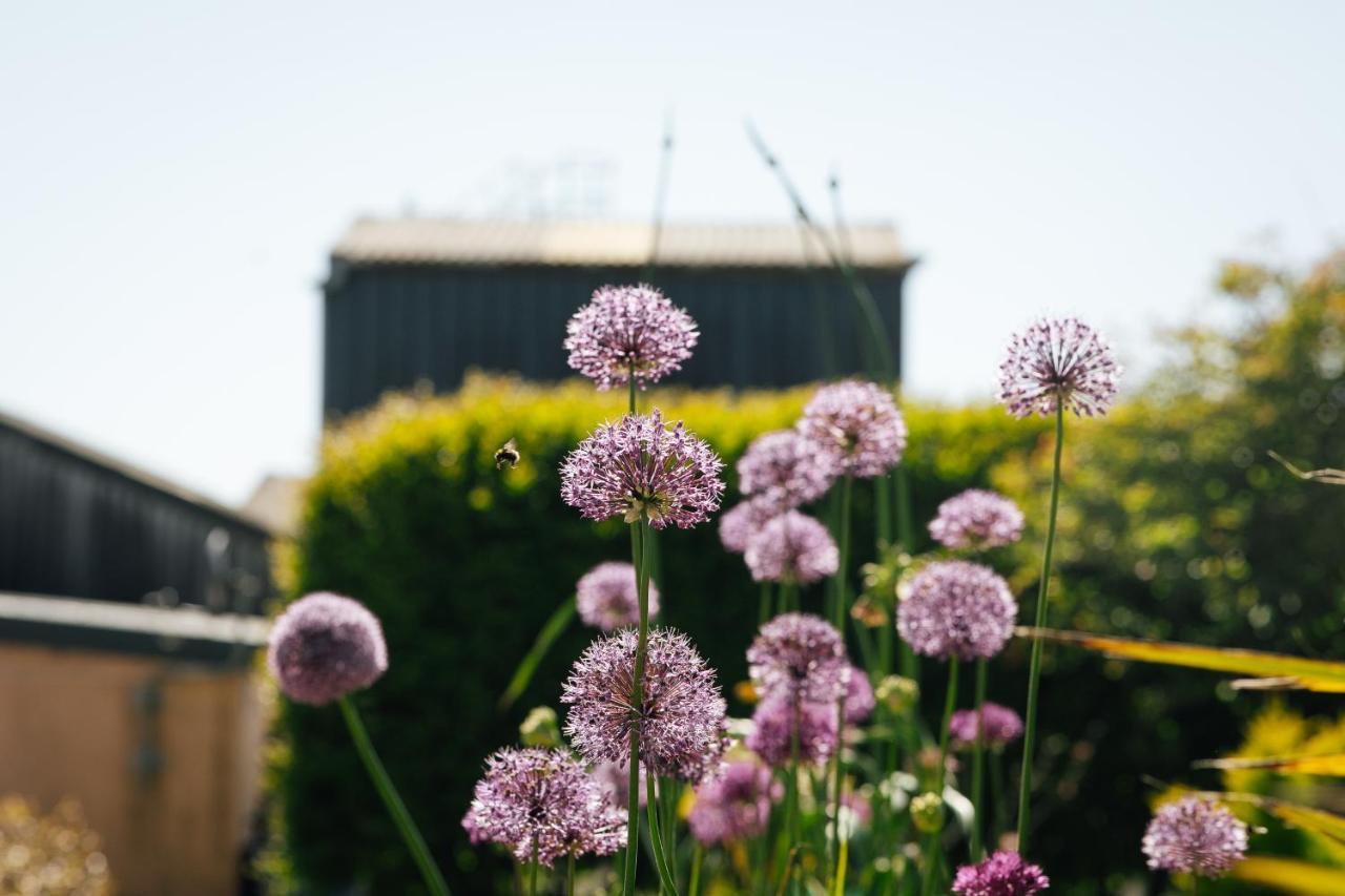 Penrhiw Farm B & B Goodwick Zewnętrze zdjęcie